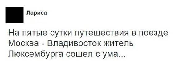 Классные комментарии из соцсетей