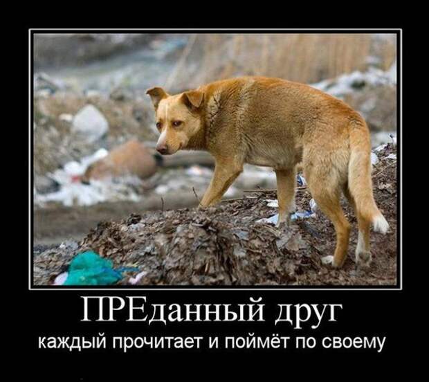 Демотиваторы Демотиваторы демотиваторы, прикол, юмор