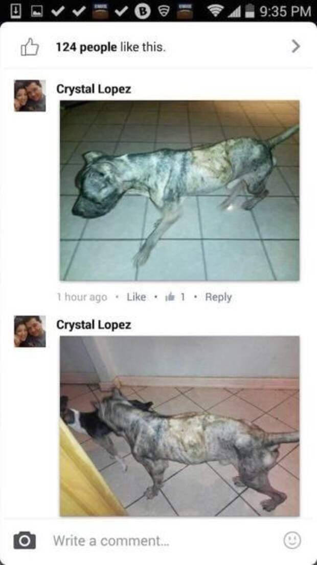2fdd70341ce156c70e54a60371f837c7.jpeg