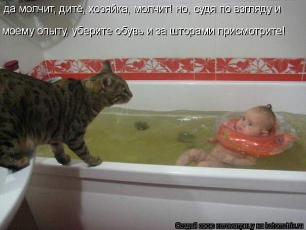 Лучшие котоматрицы недели