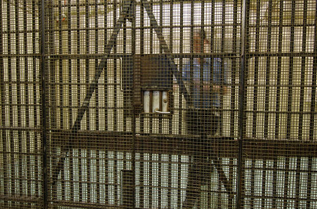 Замужняя учительница сделала аборт после секса со школьником