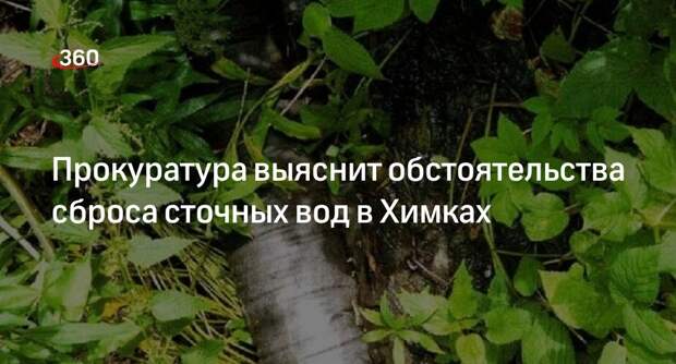 Прокуратура выяснит обстоятельства сброса сточных вод в Химках