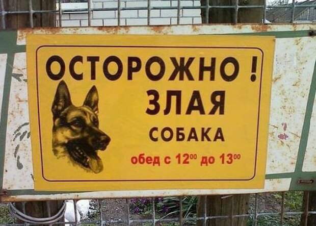 забавные вывески и предупреждения на заборах