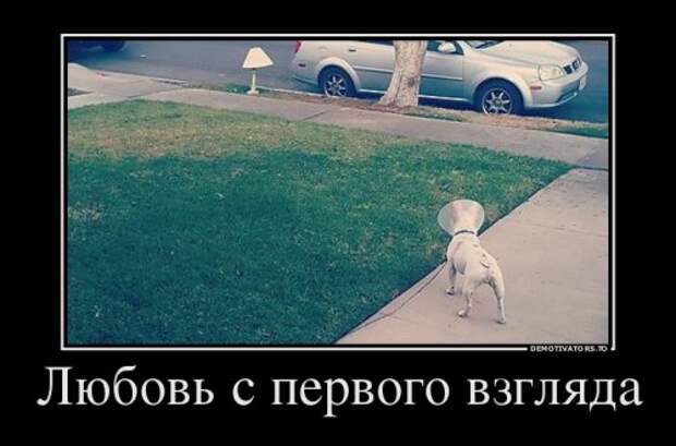 Демотиваторы-новинки (13 шт)