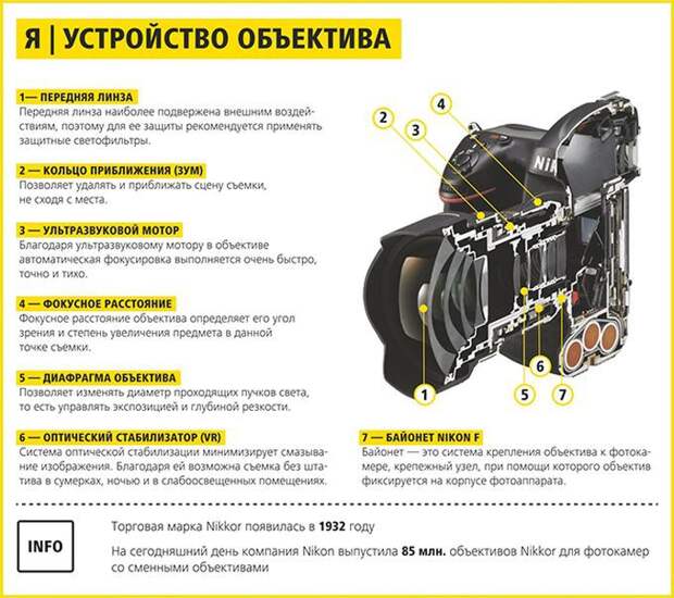 Абсолютно всё, что нужно знать новичкам и любителям о фотографии инфографика, фото, фотограф
