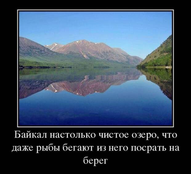 Демотиваторы (30 фото)