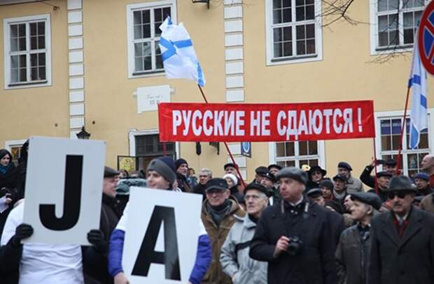 Русскоязычные жители Прибалтики обеспокоили НАТО Русскоязычные жители Прибалтики обеспокоили НАТО