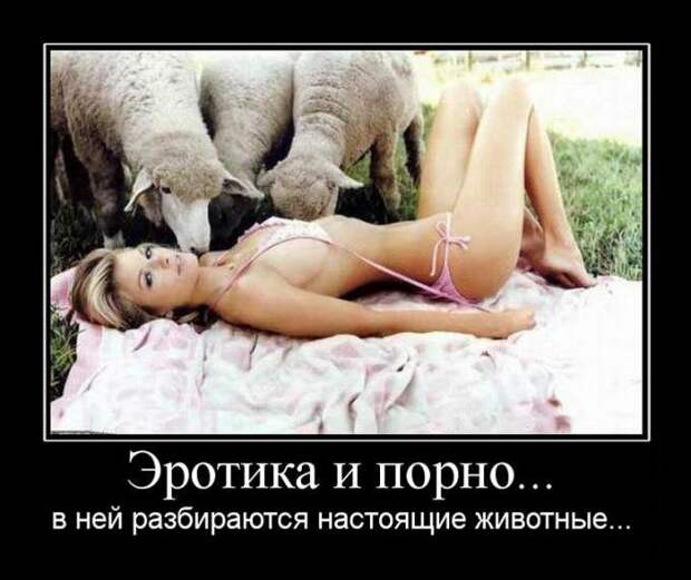 Демотиваторы (133 картинки)