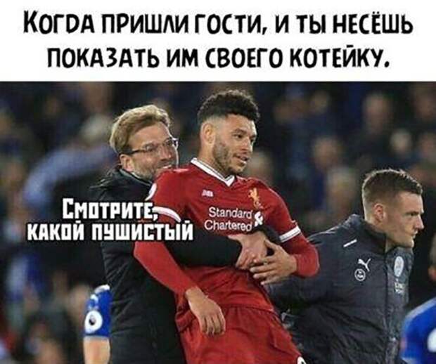 Смотри какой пушистый