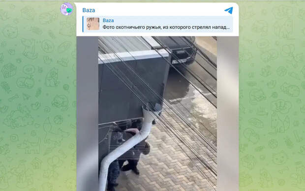 Опубликовано видео задержания стрелявшего у колледжа в Анапе