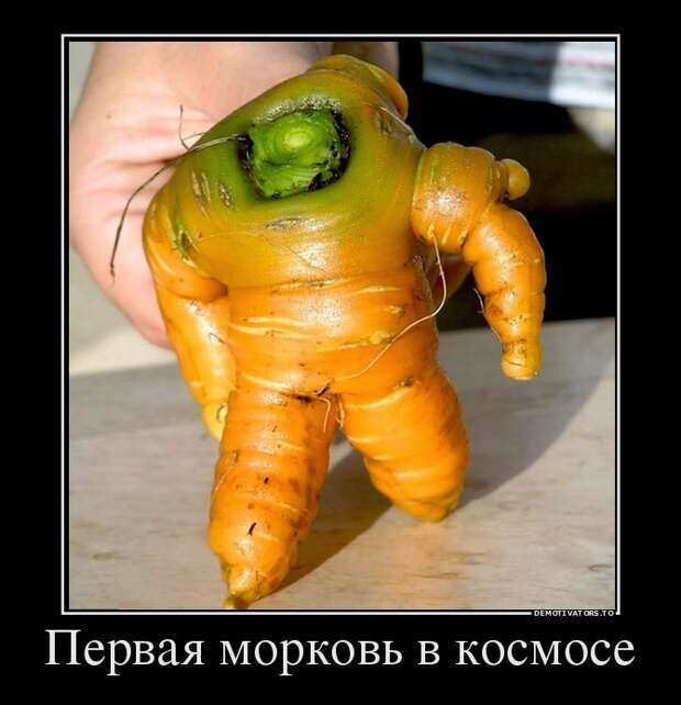 Демотиваторы демотиваторы, прикол, смех, юмор