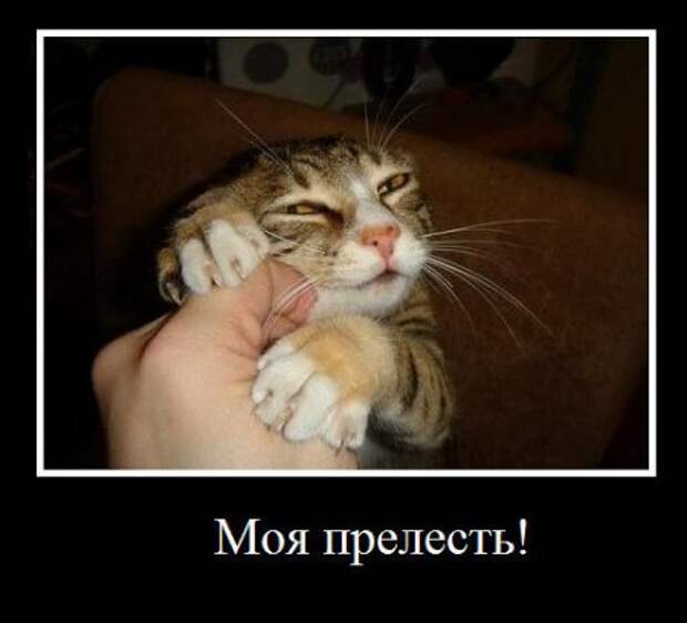 Мои демотиваторы, оцените творчество.