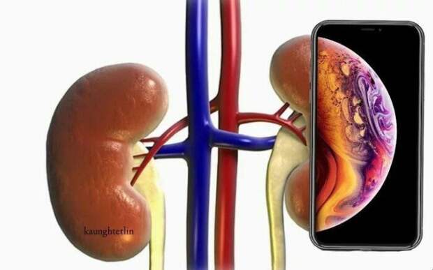 Компания Apple запустила новую волну мемов и шуток про iPhone Xs, Xs Max и Xr Компания Apple запустила новую волну мемов и шуток про iPhone Xs, Xs Max и Xr