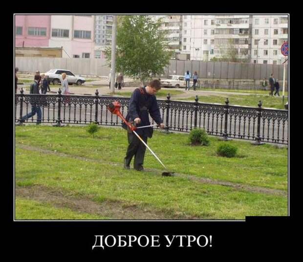 Пятничная подборка демотиваторов демотиватор, юмор