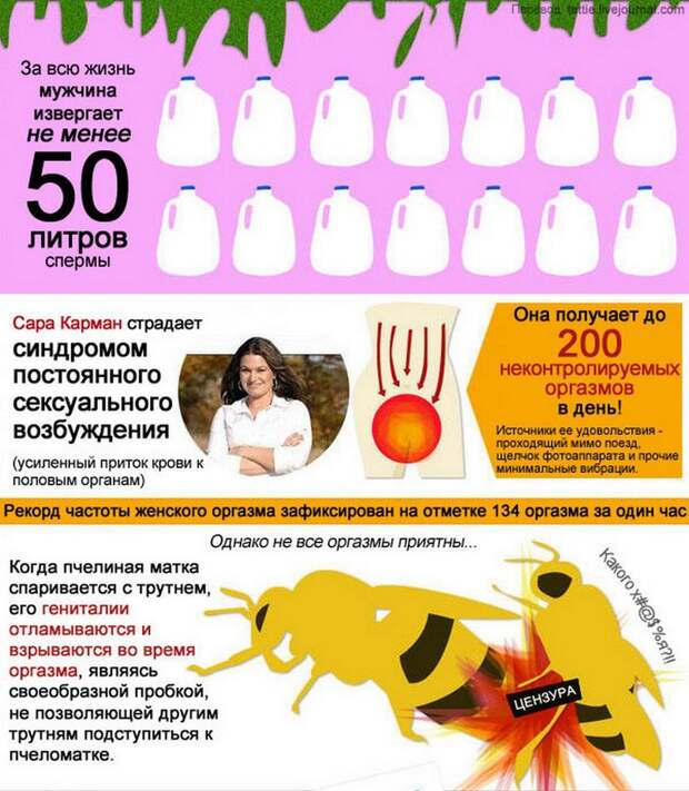 оргазм