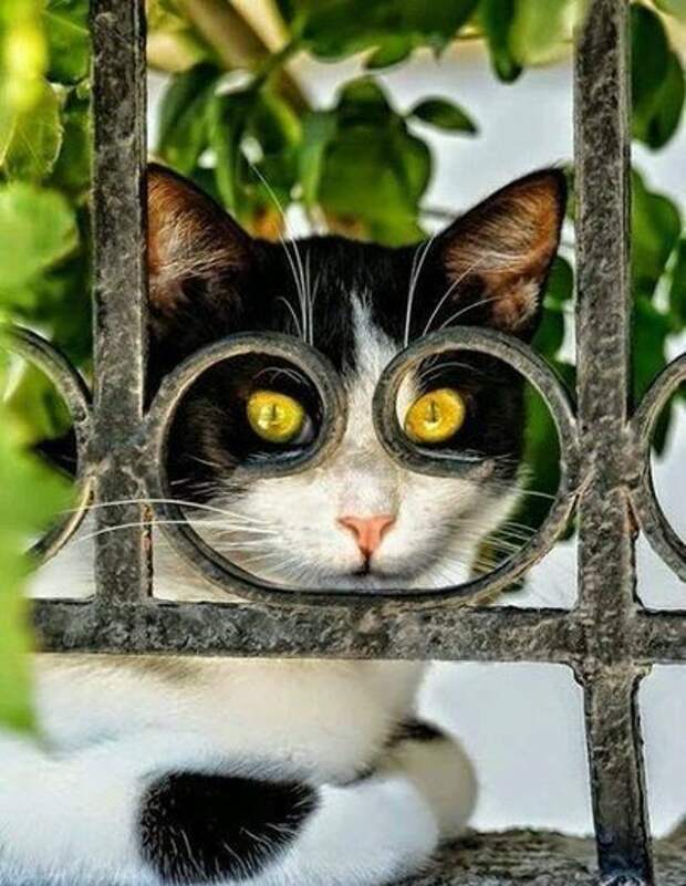 Подборка интересных фотографий... часть ...еще одна...