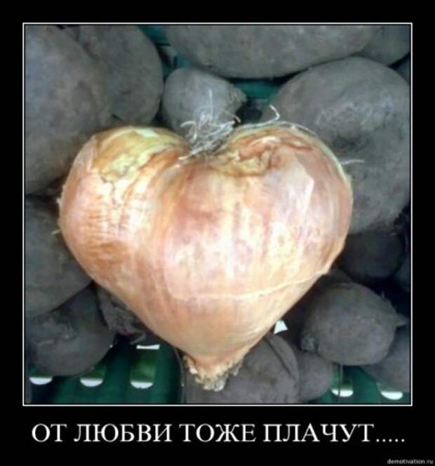 Демотиваторы смысловые.