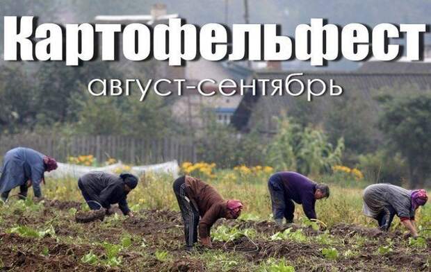 Фразы в картинках. Классные приколы!