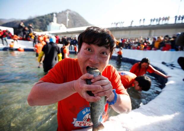 Традиционный фестиваль горной форели корея, рыбалка, фестиваль