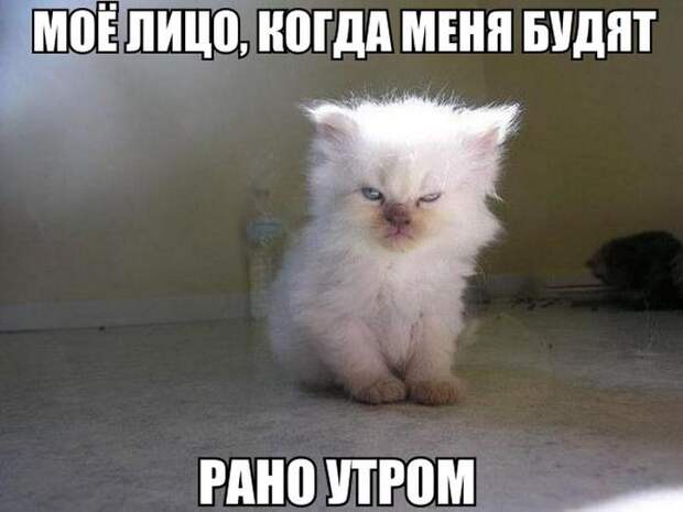 ПОДБОРКА ФОТОПРИКОЛОВ № 368