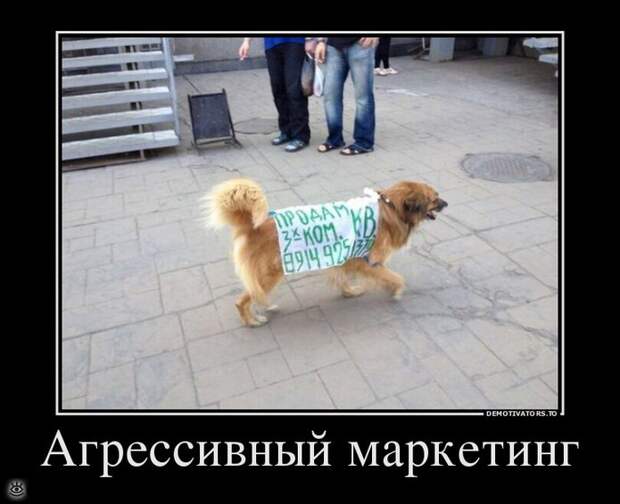 Воскресная порция философского юмора 3