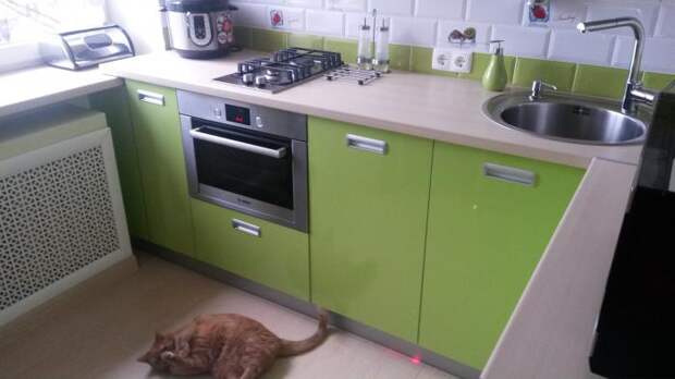 Мебель для кухни, нижние шкафы на кухню, зеленая кухня фото