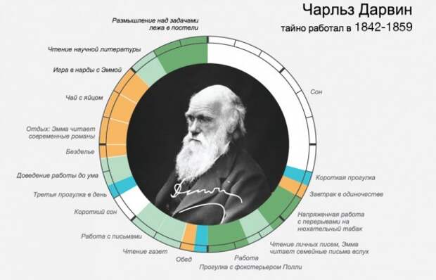 Режим дня знаменитых людей. Очень познавательно! (15 инфографик) Режим дня знаменитых людей. Очень познавательно! (15 инфографик)
