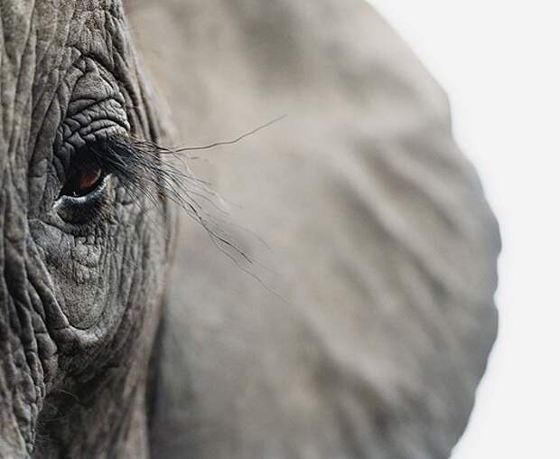 24_12_2007_0063222001198496481_tim_flach