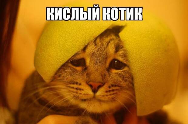 Картинки с надписями - свежие приколы Картинки с надписями - свежие приколы