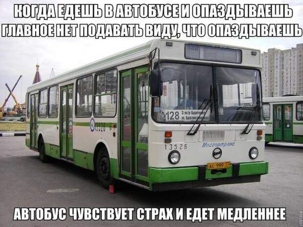 Забавные фотомемы