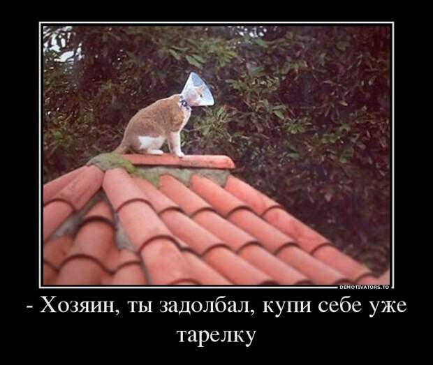 Демотиваторы демотиваторы
