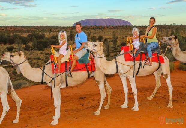Uluru sunset camel ride