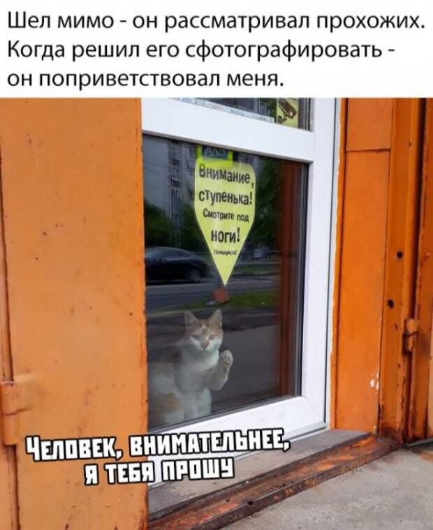Немного картинок для настроения