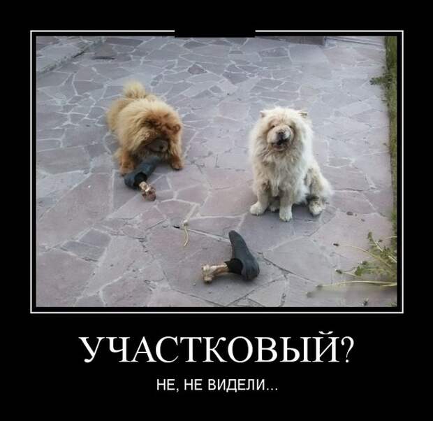 Демотиваторы №1102 (30 фото)