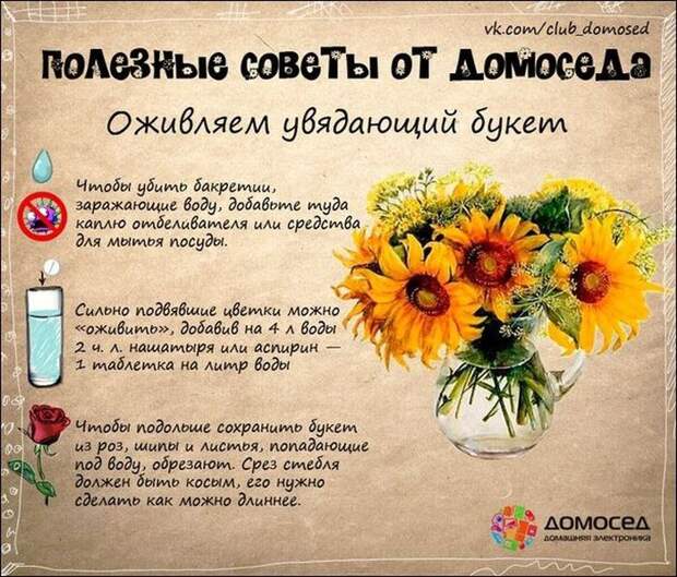 Полезные советы полезно знать, советы