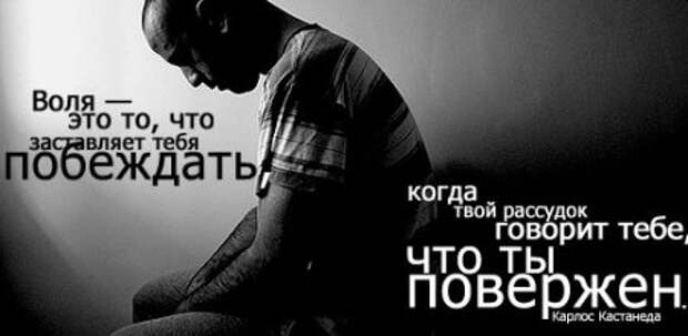 Цитаты о жизни (21 картинка)