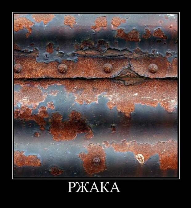 Демотиваторы (30 фото)