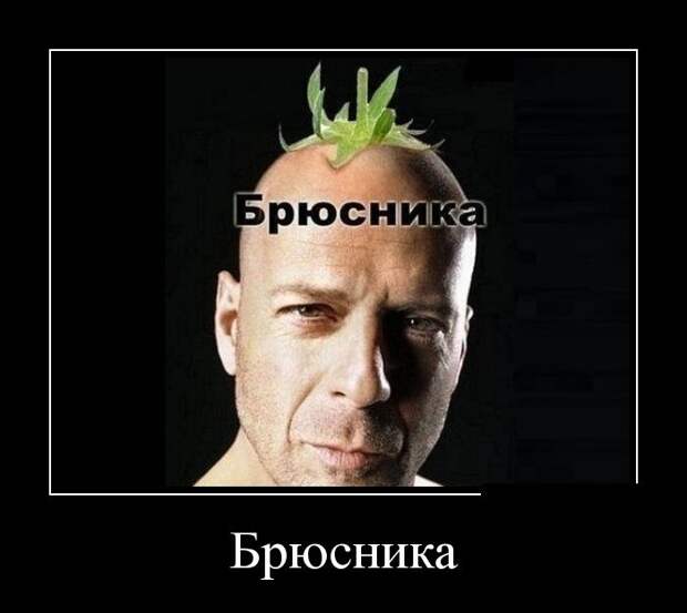 Демотиваторы демотиваторы, прикол, смех, юмор