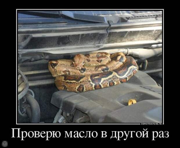 От судьбы не уйдёшь! 7