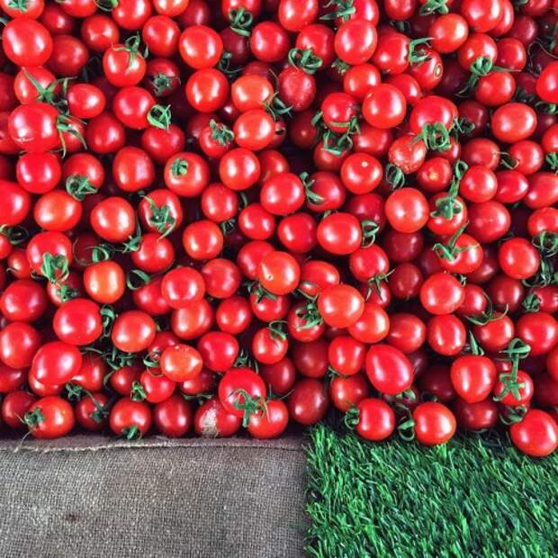 ТОП-5 продуктов для здоровой кожи: Помидоры