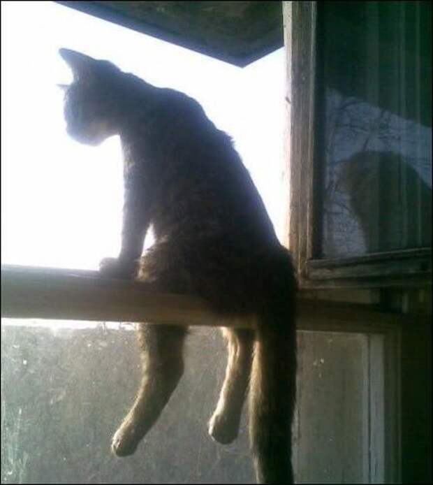Приколы