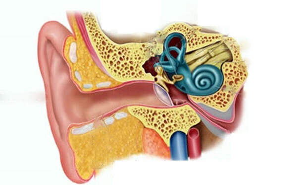 hearingcentral.org