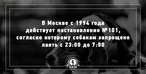 12 неочевидных фактов о России россия, факт