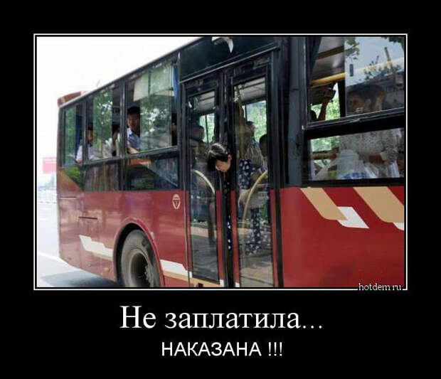 Демотиваторы, часть 269 (28 фото) Демотиваторы, часть 269 (28 фото)