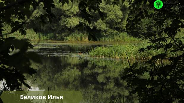 мосприрода конкурс 2010.png