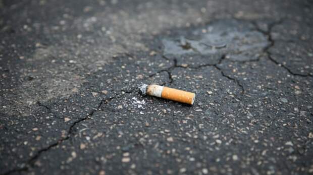 В ОП предупредили о штрафах за выброшенный из окна автомобиля окурок