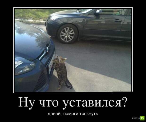 Демотиваторы на июль, часть 6 (30 фото) Демотиваторы на июль, часть 6 (30 фото)