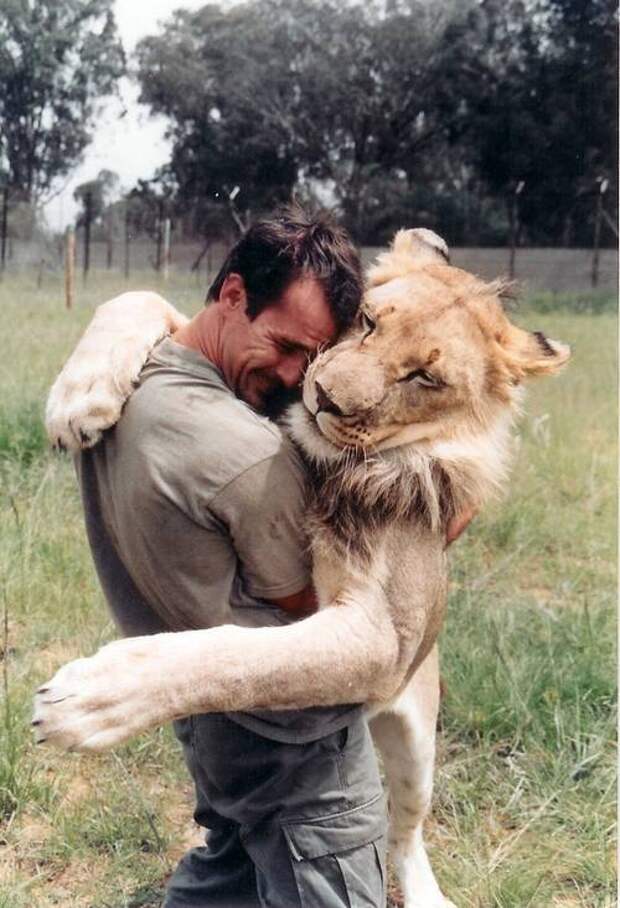 Кевин Ричардсон обнимается со львом. Фото