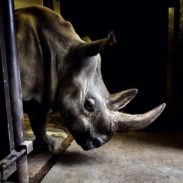 Лучшие фотографии от National Geographic