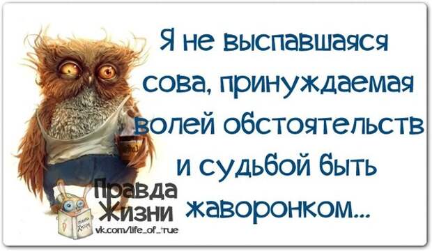 Приколюшки с картинками